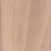 Pink Beech sanded
