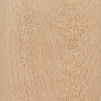 White-Beech-sanded